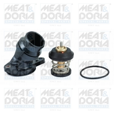Thermostat, coolant